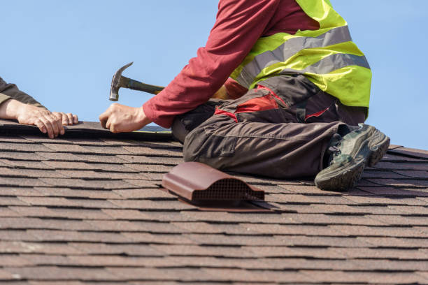 Best Roof Gutter Cleaning  in Dekal, IL